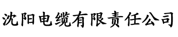 5vv社区视频电缆厂logo